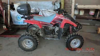 Gilera Altro modello - 2009 quad oregon 250