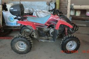 Gilera Altro modello - 2009 quad oregon 250