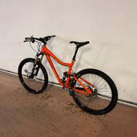 Rocky Mountain Altitude full Fox