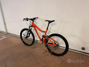 Rocky Mountain Altitude full Fox