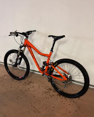 Rocky Mountain Altitude full Fox