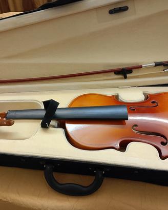 violino 