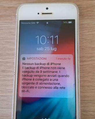 Iphone 5s 16 gb