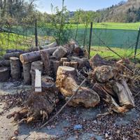 legna da ardere gratis