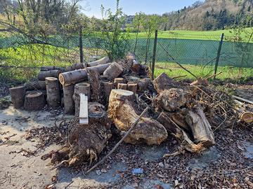 legna da ardere gratis