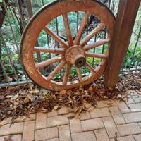 Coppia ruote carro H 100 cm