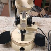 stereomicroscopio wild