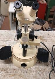 stereomicroscopio wild
