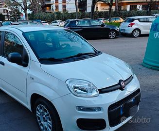 Fiat Panda 1.2 Easy 5 euro 6e 5 posti 2019