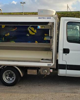 IVECO DAILY 35C12 FRIGO AUTONEGOZIO PESCHERIA