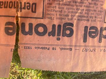 Pagine giornale 1933