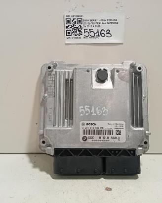 CENTRALINA INIEZIONE BMW Serie 1 F20 851856801 N47