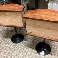 Bose 901 con Stands e Equalizzatore