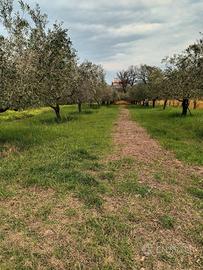Terreno 1400 mq