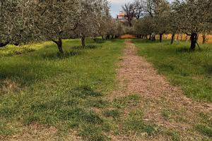 Terreno 1400 mq