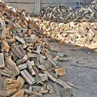 Legna secca di bosco