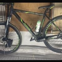 Bicicletta lombardini 29