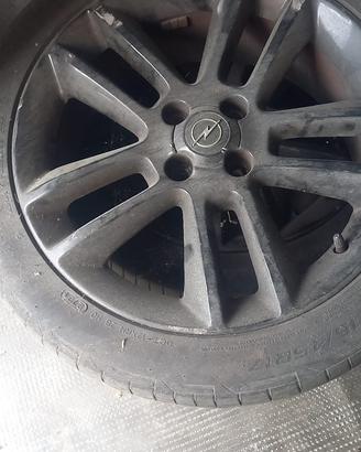 Gomme estive