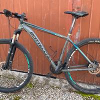 Bottecchia 29