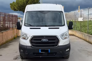 Ford Transit 290 2.0TDCi EcoBlue MHEV 130CV PM-TM 