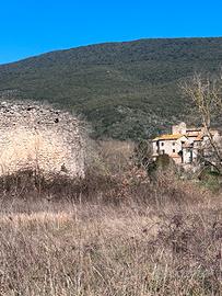 ? rudere in campagna massa martana ?