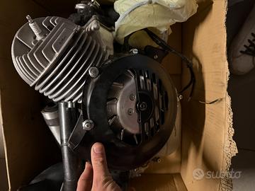 Quattrini m1 l56