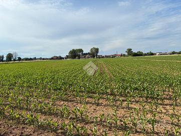 TER. AGRICOLO A CORBETTA