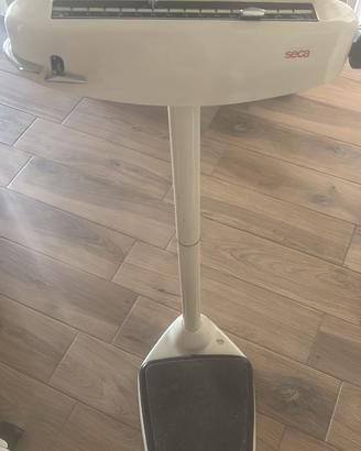 Bilancia professionale meccanica SECA vintage