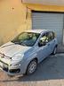 fiat-panda-1-2-lounge