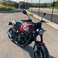 Benelli Leoncino 500