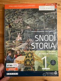 Libro scolastico gli snodi della storia 1