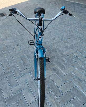 Bicicletta da uomo