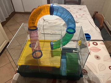 Gabbia criceti con accessori