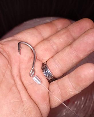 palamito per cernie e dentici 100 ami