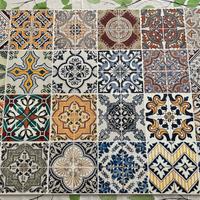 Pannello Paraschizzi