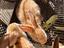 Immagine 3