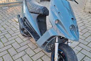 Malaguti F12 LC (Digit Twin Disk) 