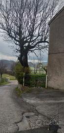 Casa alle pendici del catria