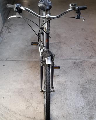 Bicicletta da uomo