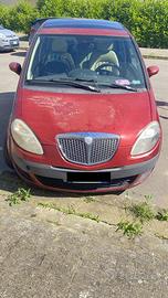Lancia musa platino