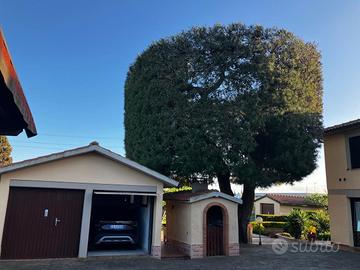 Doppia tenuta . Villa. Casale