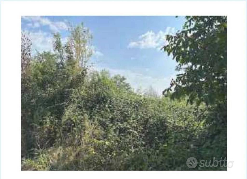 Immobile in asta di 1677 m² a Desenzano del Garda - Vista 5