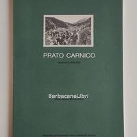 Giusa Villotta PRATO CARNICO itinerari e ricerche