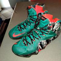 Scarpe ediz.limitata Nike Lebron 12 Aktion Betulla
