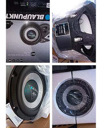Pioneer  Blaupunkt