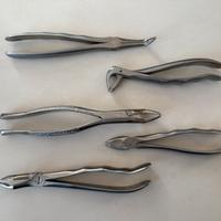 Leve estrazione radici