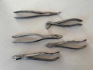 Leve estrazione radici