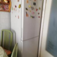 frigo 