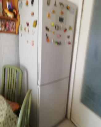 frigo 