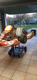 kart Birel SOLO per ricambi. Leggere bene.